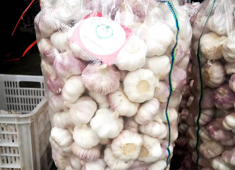 White Garlic